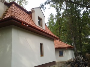 dachowka portugalka hiszpańska mnich mniszka zapolski śródziemnomorska